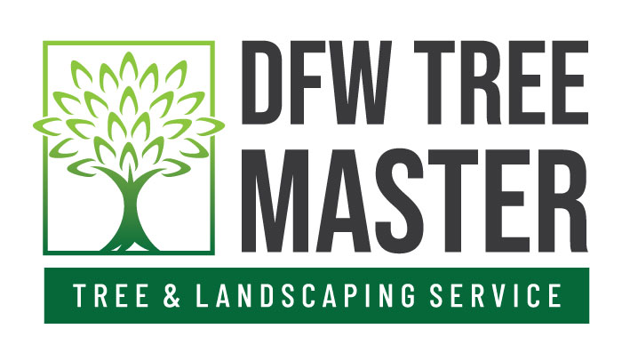 DFW Tree Master Dallas Ft. Worth Landscape Design and Tree Service